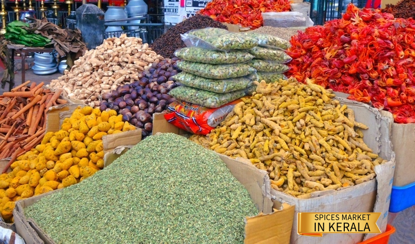 4- Spices Market in Kerala.jpg